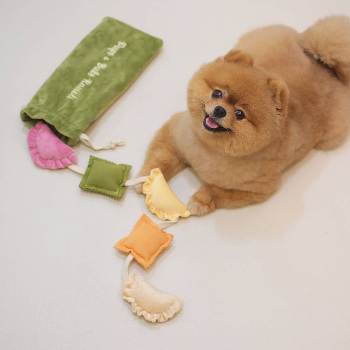 RAVIOLI NOSEWORK TOY