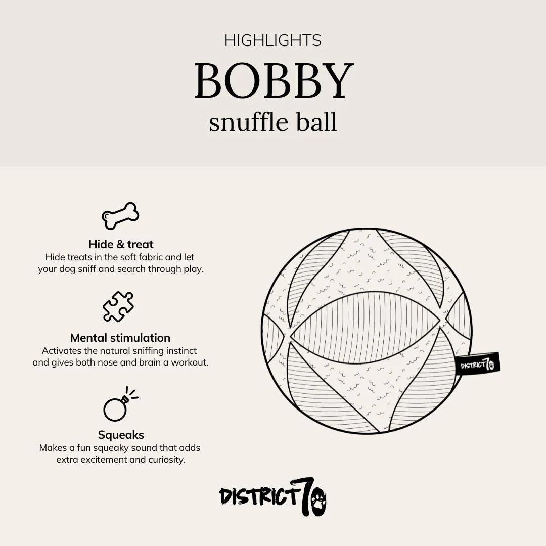 Schnüffelball BOBBY rosa