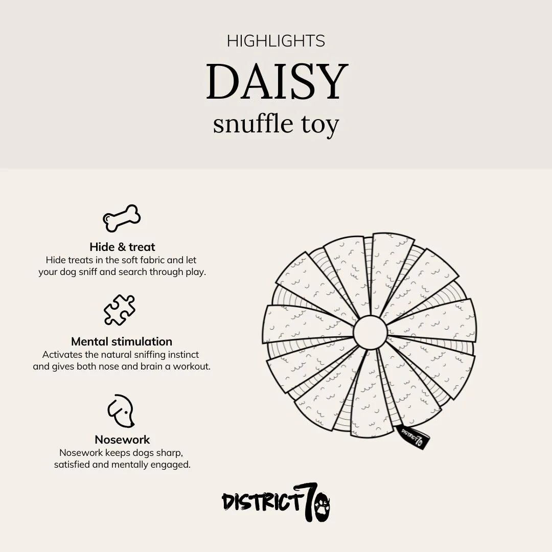 Schnüffelspielzeug DAISY taupe