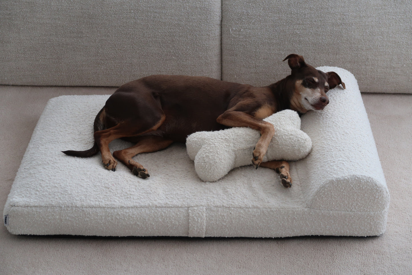 Hommey - Hundebett Boucle creme und Hundekissen