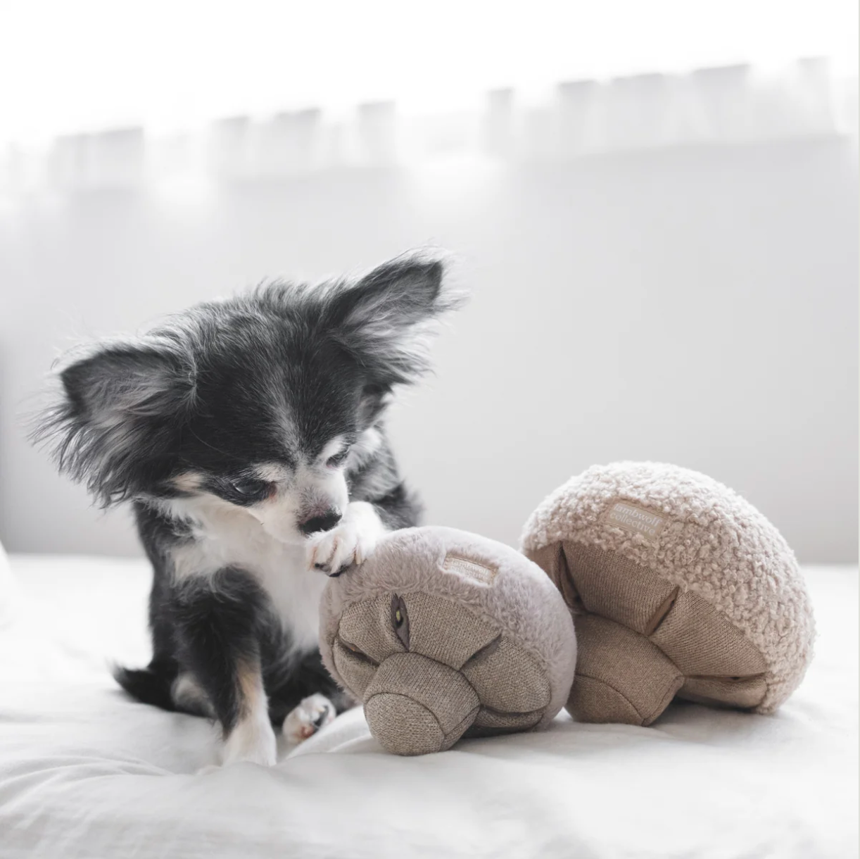 GUU Schnüffelpilz von Lambwolf Collective Hundespielzeug