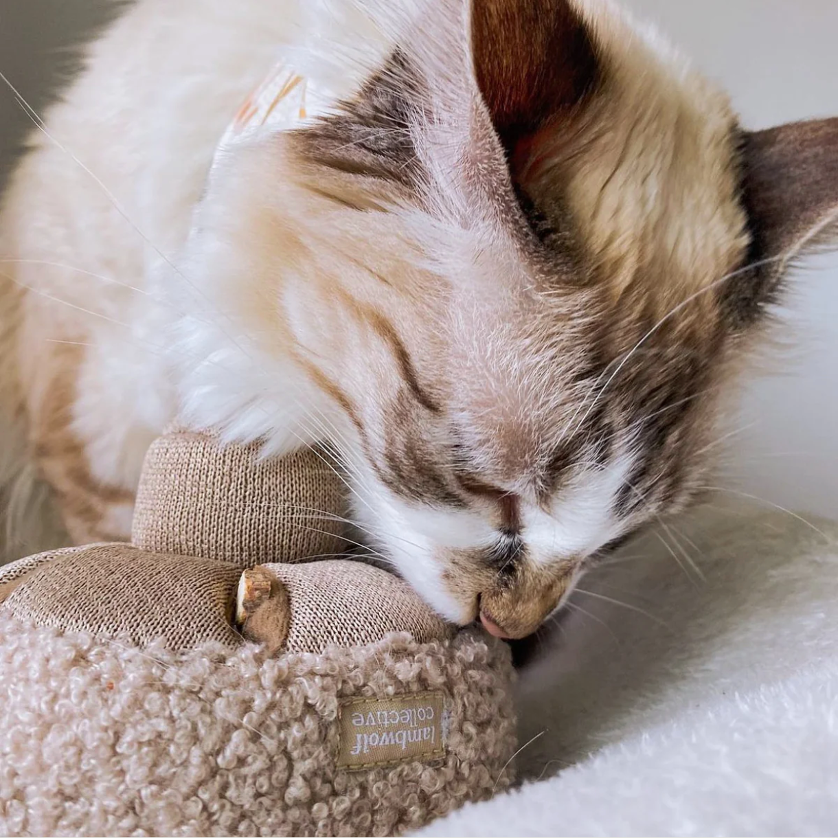 GUU Schnüffelpilz von Lambwolf Collective Katzenspielzeug