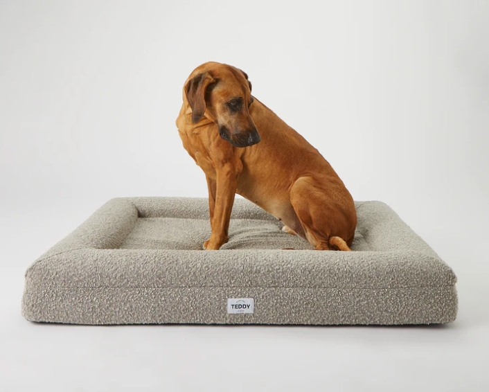 Hundebett Boucle grau