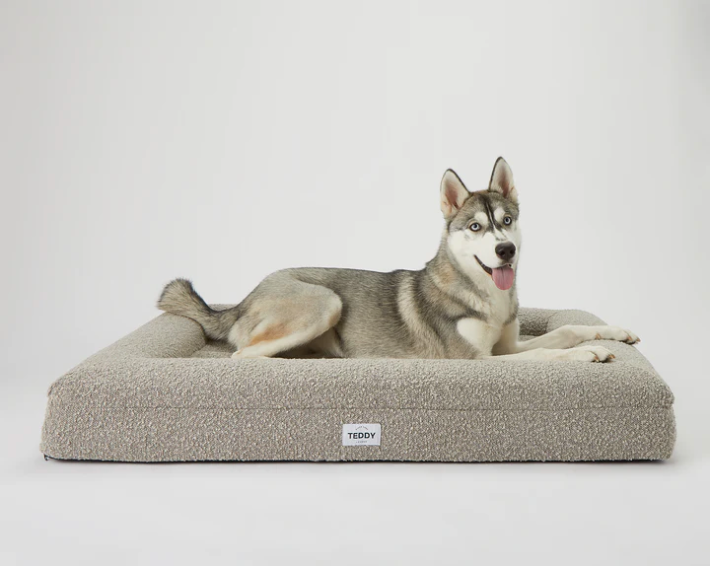 Hundebett Boucle grau