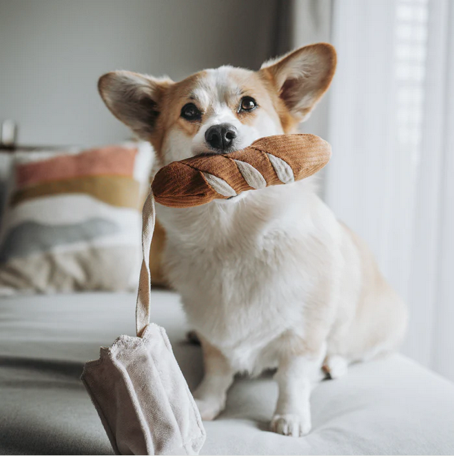 Mini Baguette Spielzeug