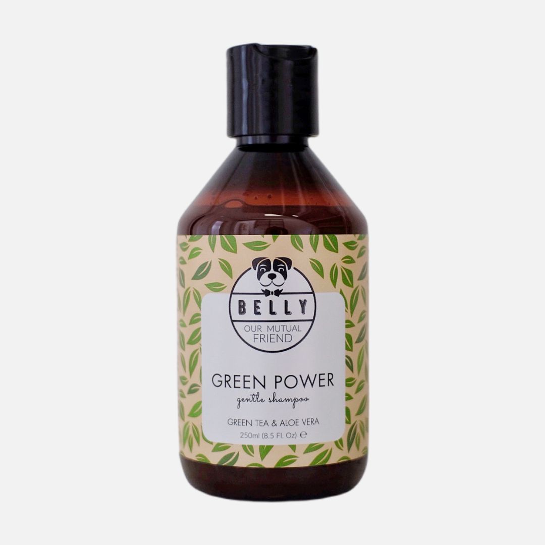 Hundeshampoo mit grünem Tee und Aloe Vera für glänzendes und gesundes Fell von Belly Dog