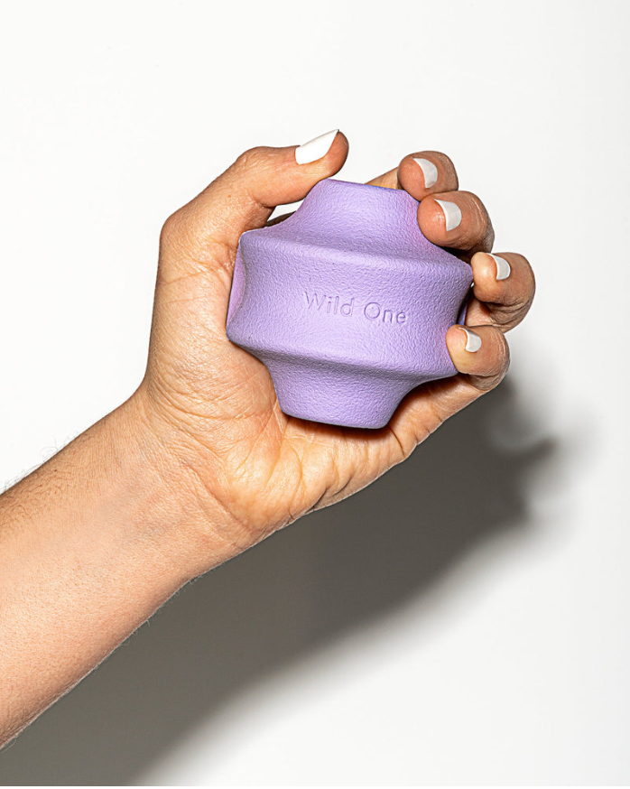 Minimalistisches Apportierspielzeug für Hunde Ball lila