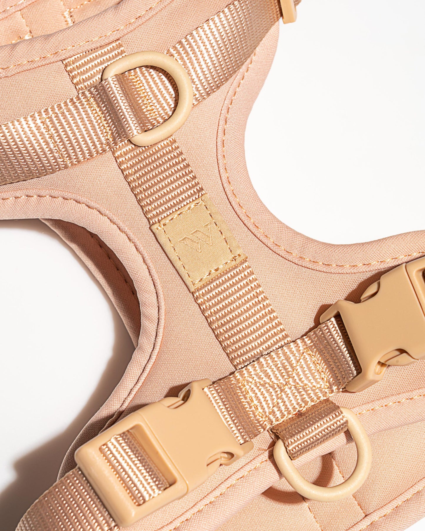 Minimalistisches Hundegeschirr nude