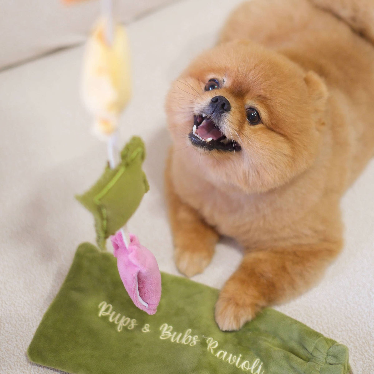 RAVIOLI NOSEWORK TOY