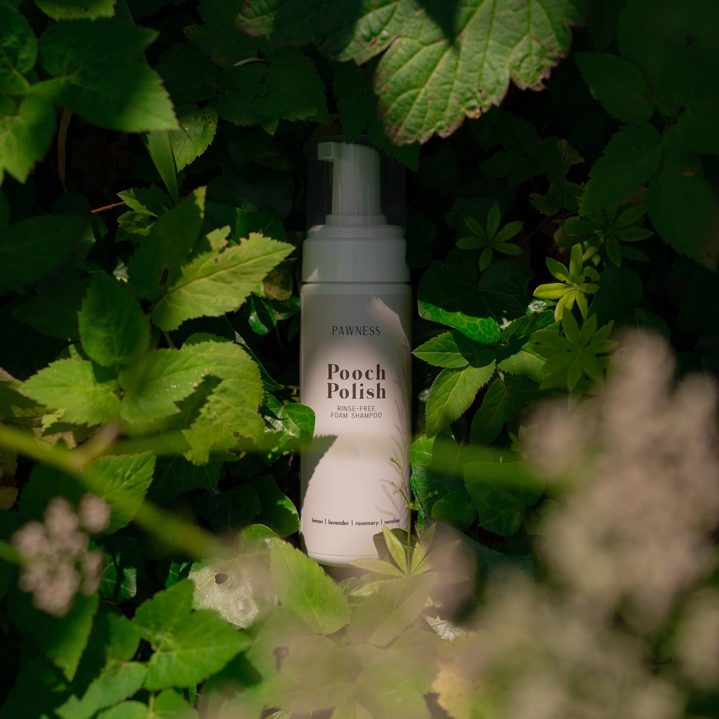 Schaumshampoo Pooch Polish (ohne Ausspülen)