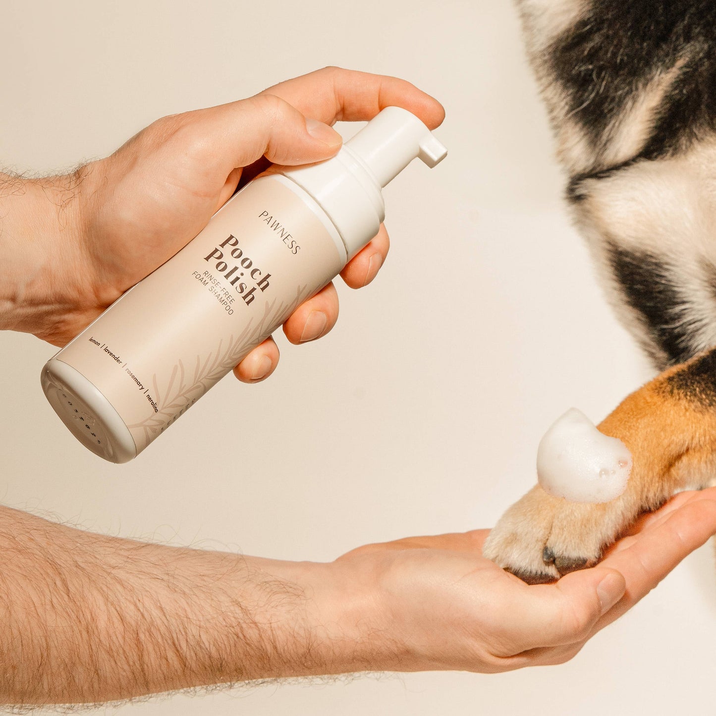 Schaumshampoo Pooch Polish (ohne Ausspülen)