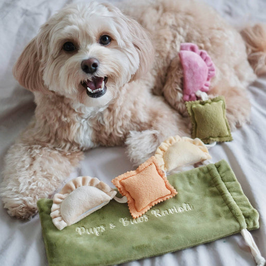 RAVIOLI NOSEWORK TOY
