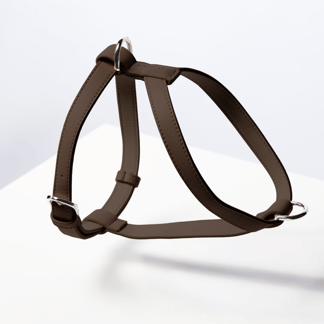 Gassi-Bundle Geschirr Cocoa