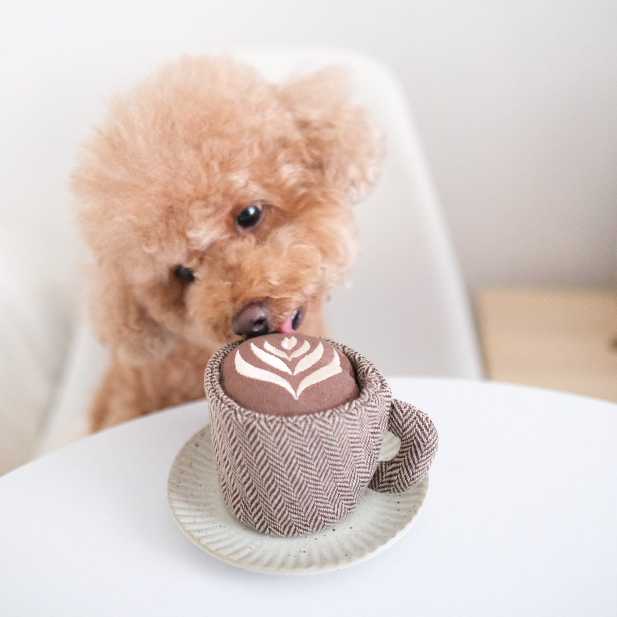 Latte Pop