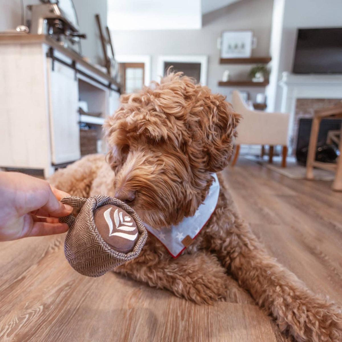 Latte Pop