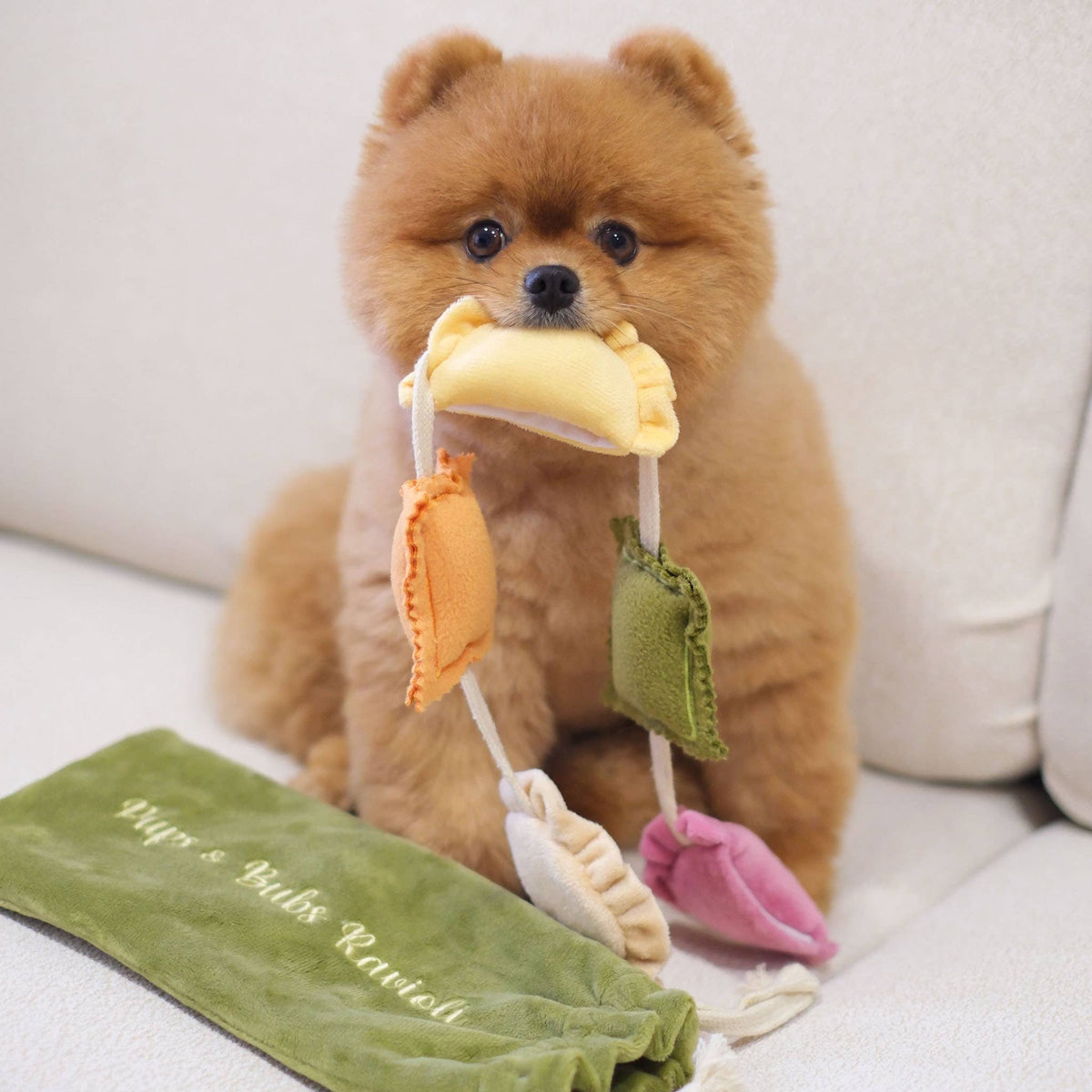 RAVIOLI NOSEWORK TOY