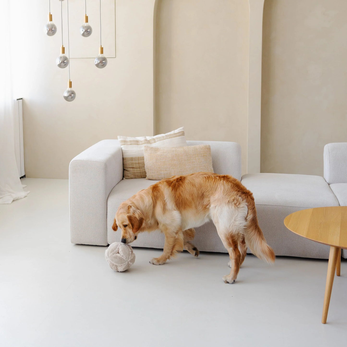 Schnüffelball BOBBY beige