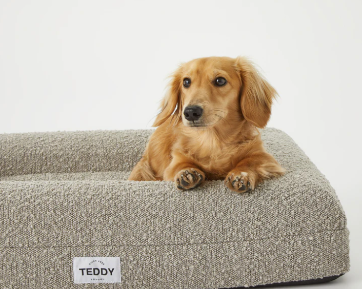 Teddy London Hundebett grau