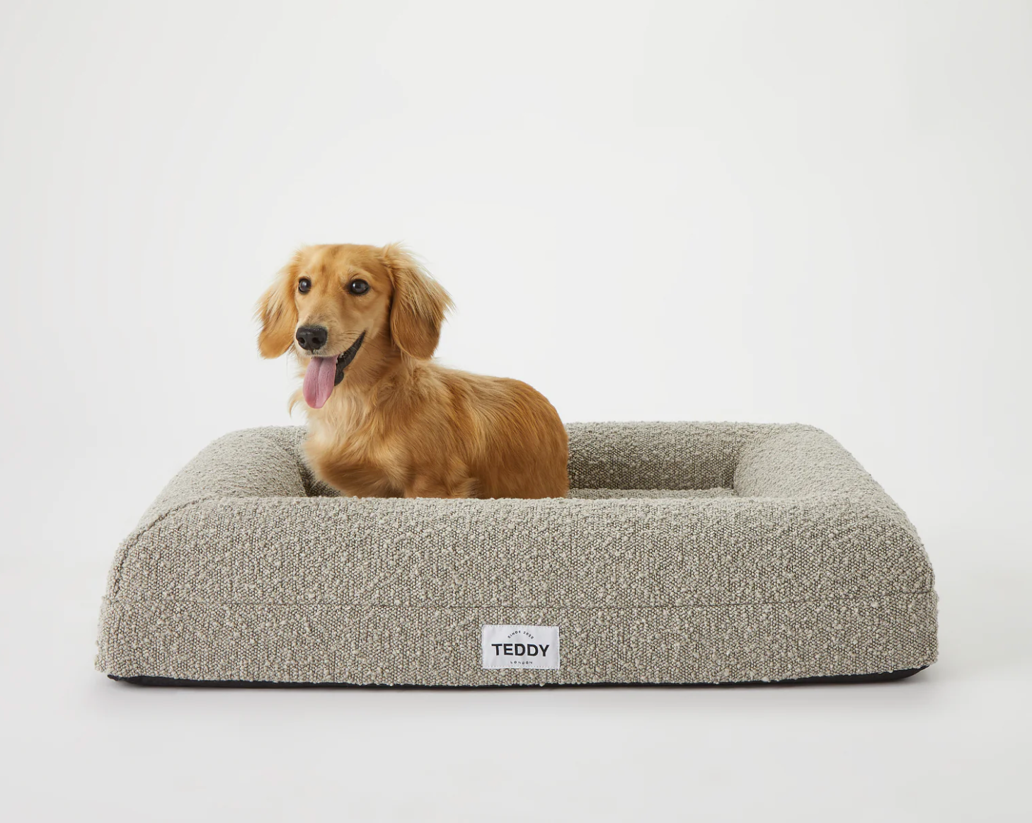 Hochwertige Hundebetten von TEDDY LONDON in Bouclé-Optik: Stilvolle  Gemütlichkeit für Ihren Vierbeiner – Hejpaw