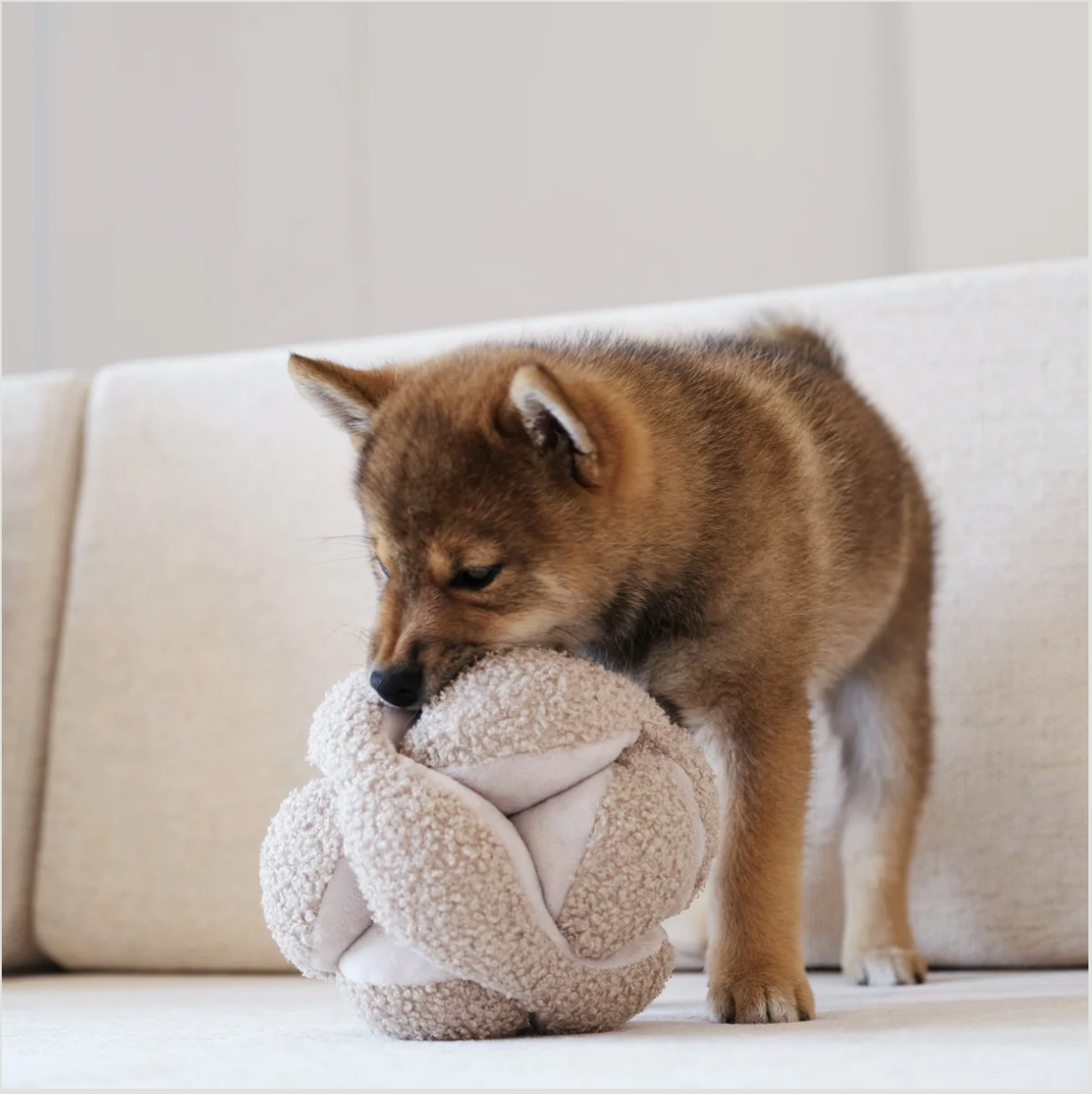 Montessori-Schnüffelball von Lambwolf Collective Hundespielzeug
