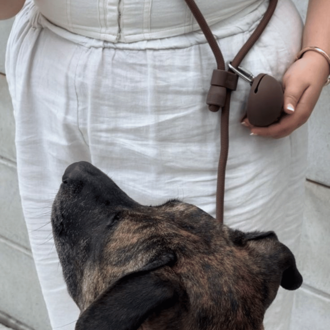 Leckerlitasche – Cocoa