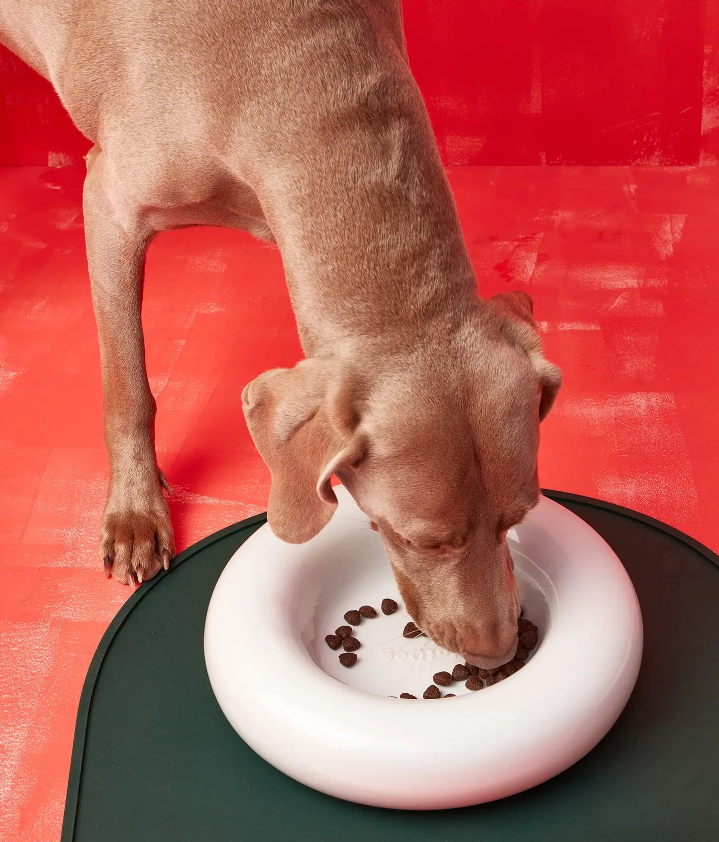 Rosa Keramiknapf für Hunde
