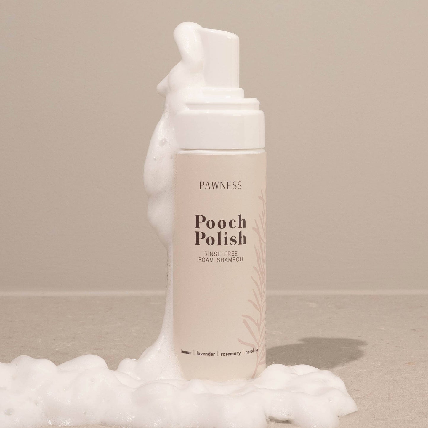 Schaumshampoo Pooch Polish (ohne Ausspülen)