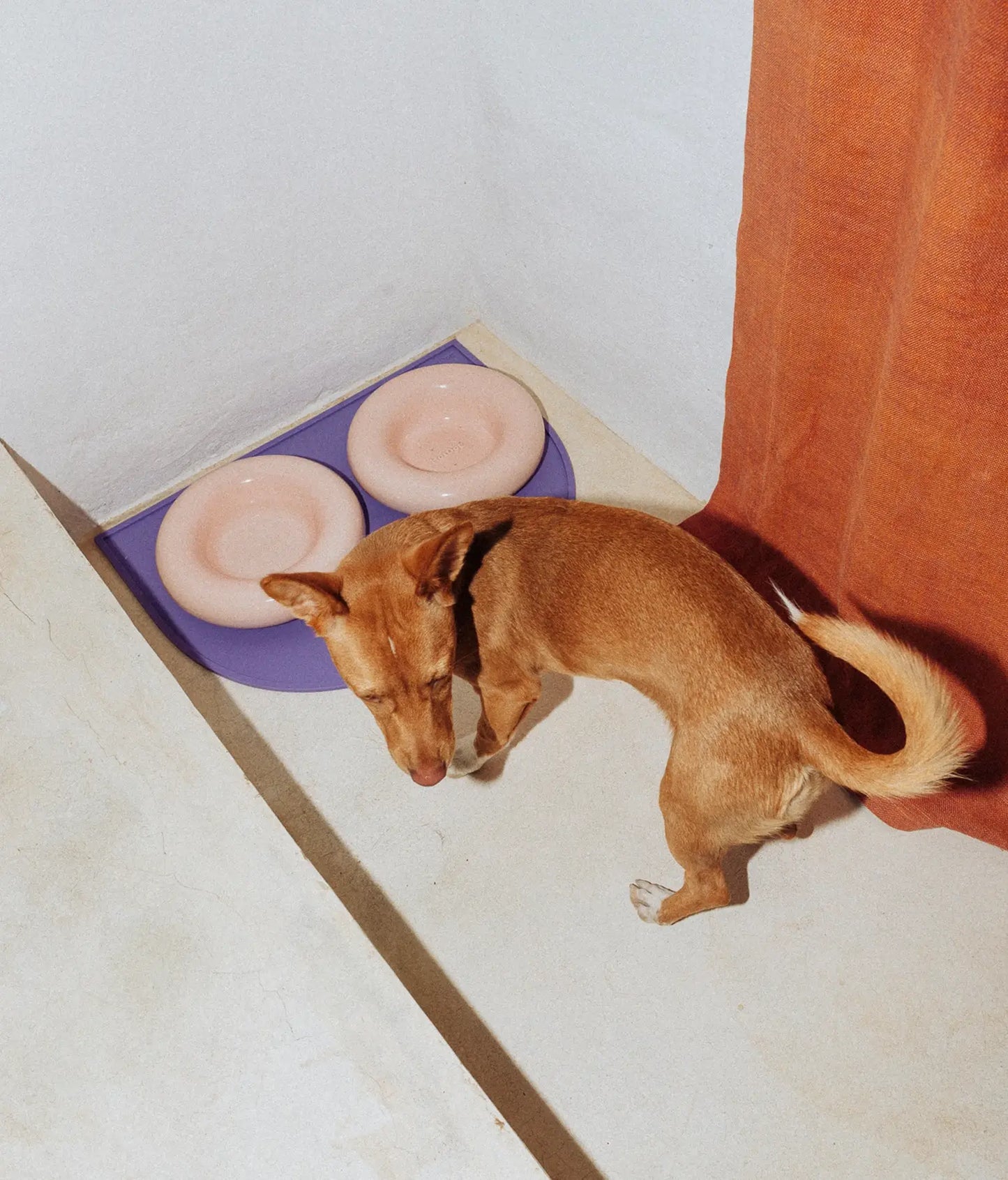 Rosa Keramiknapf für Hunde