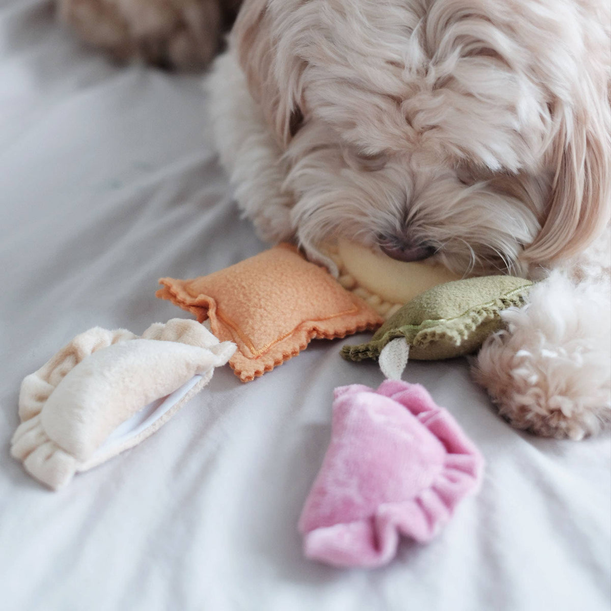 RAVIOLI NOSEWORK TOY