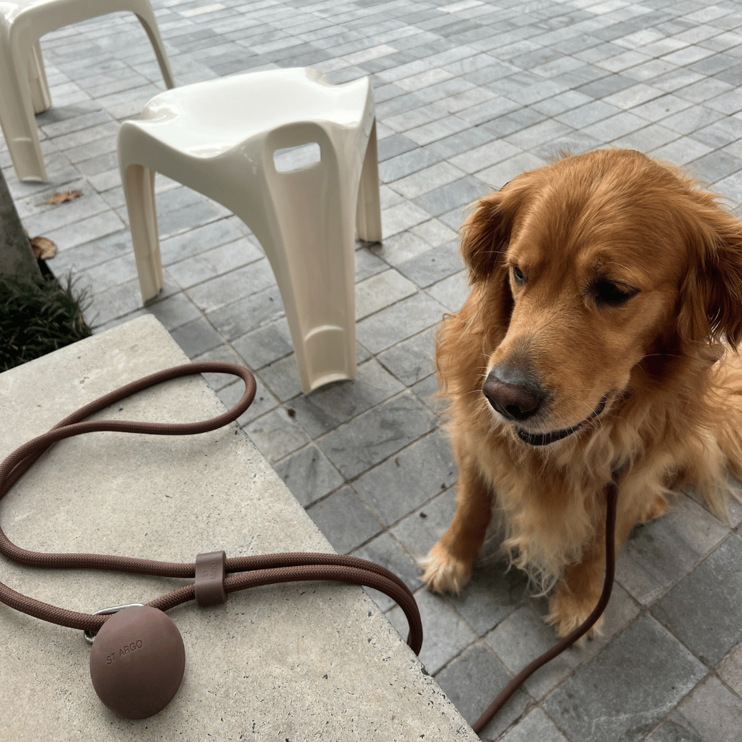 Leckerlitasche – Cocoa