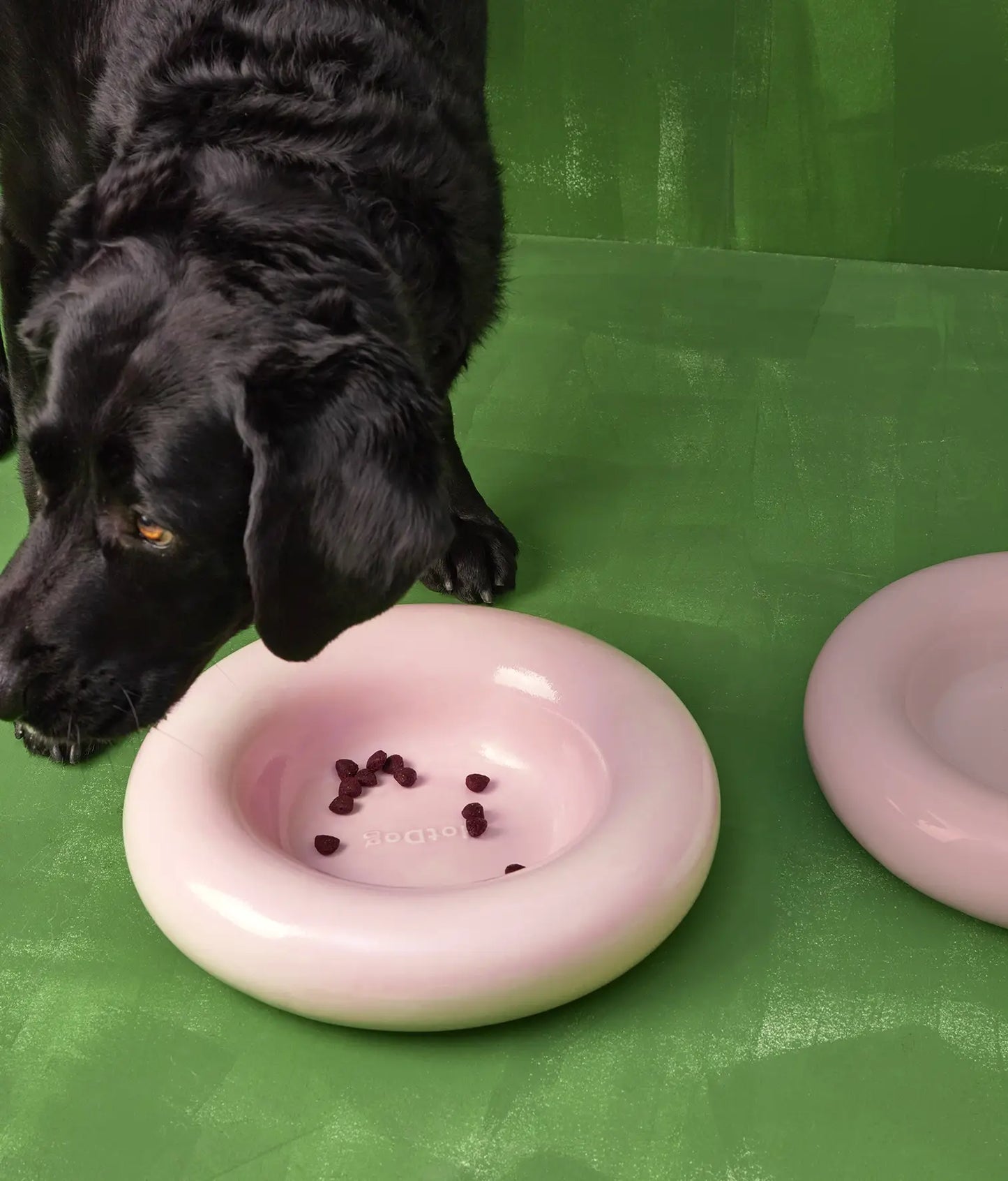 Rosa Keramiknapf für Hunde