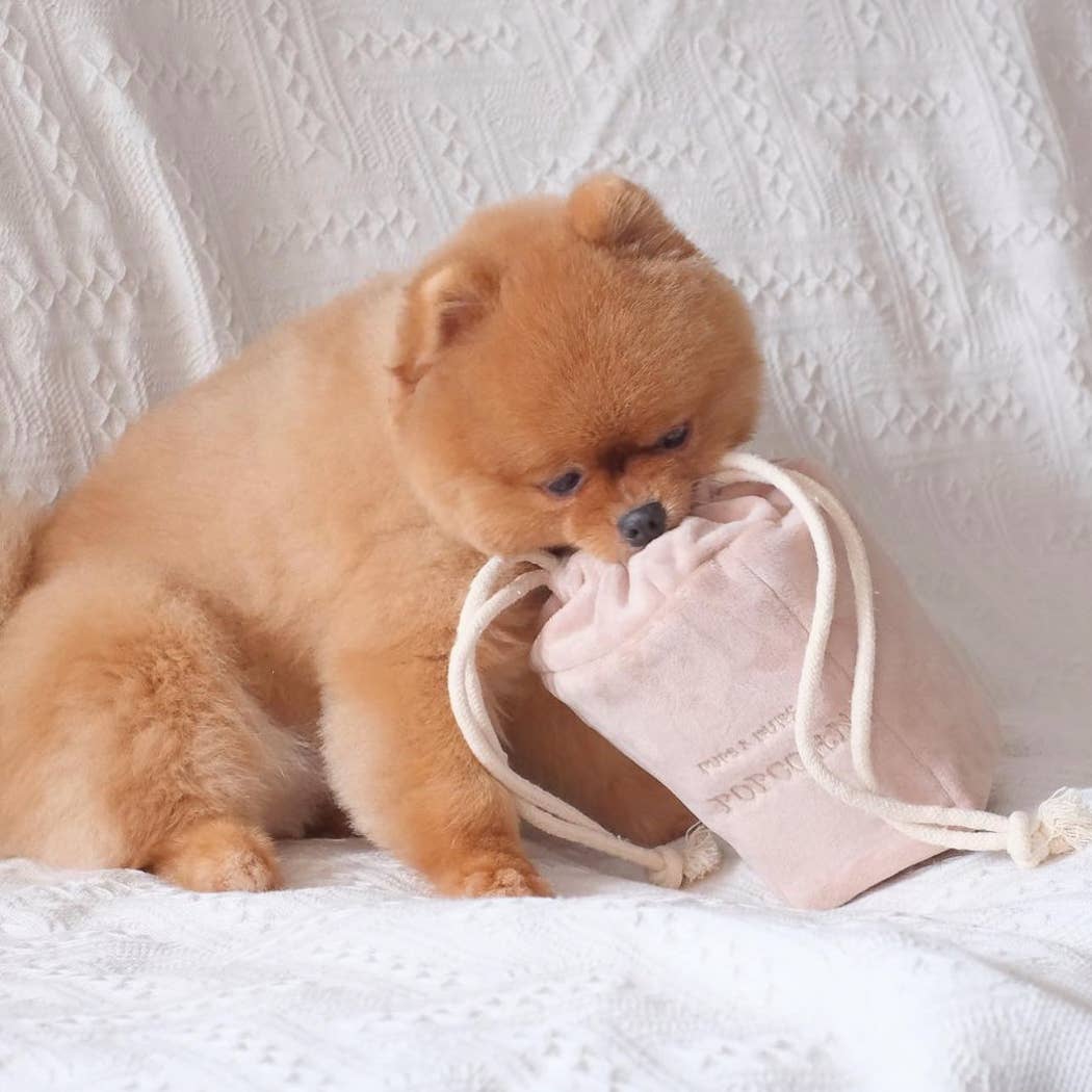 POPCORN NOSEWORK TOY