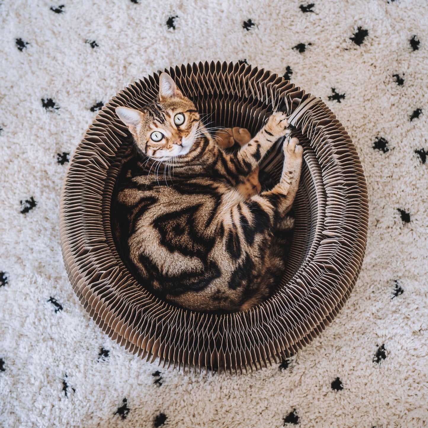 3-in-1 Katzenbett für Spiel, Schlaf und Kratzen MAZE