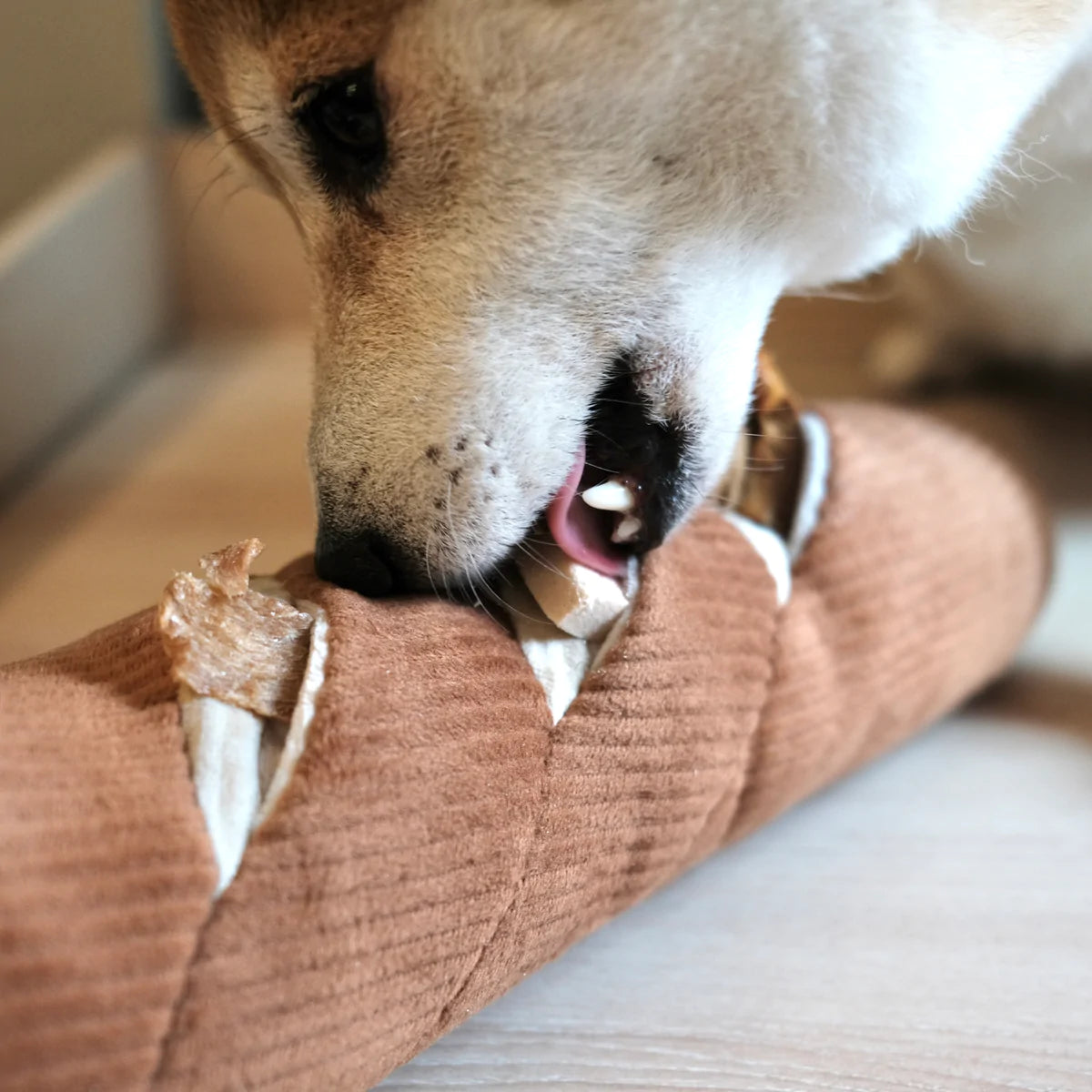 Lambwolf Collective Hundespielzeug