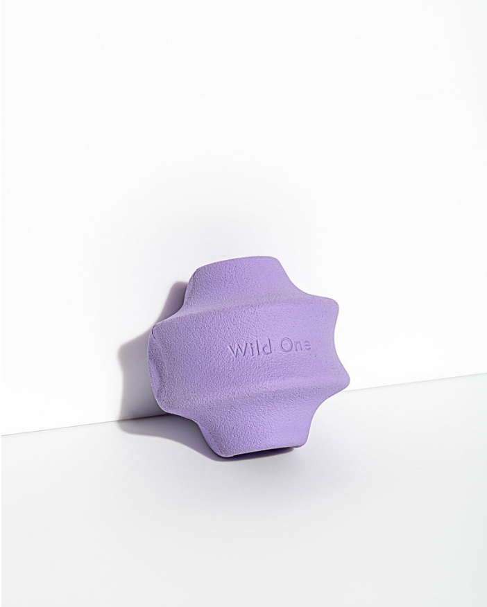 Minimalistisches Hundespielzeug Twiss Toss Wild One lila