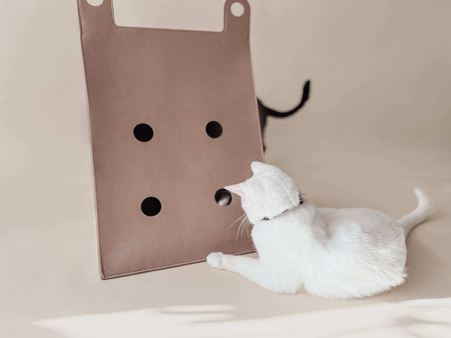 Bloire Filz-Tipi für Katzen