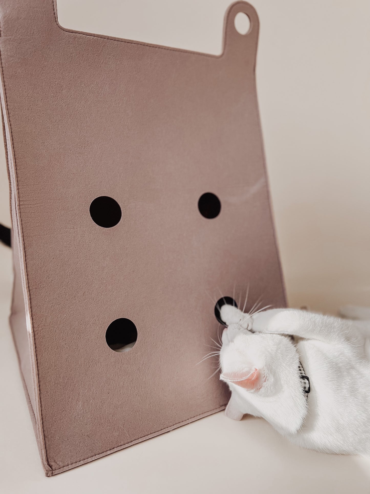 Braun Tipi Katzenhaus