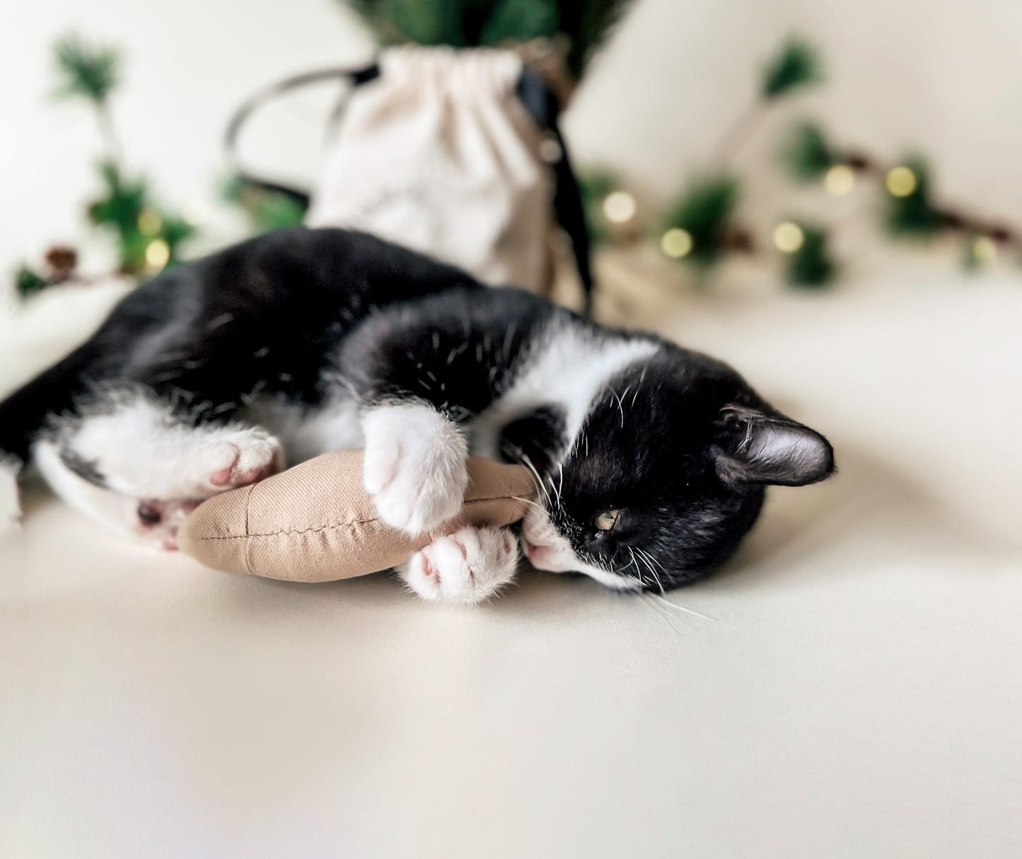 Katzen Spielzeugset - Breakfast Club Bloire Croissant Katzenminze