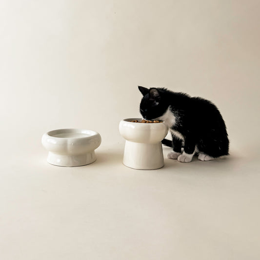 Creamy Napfset von Bloire für Katzen