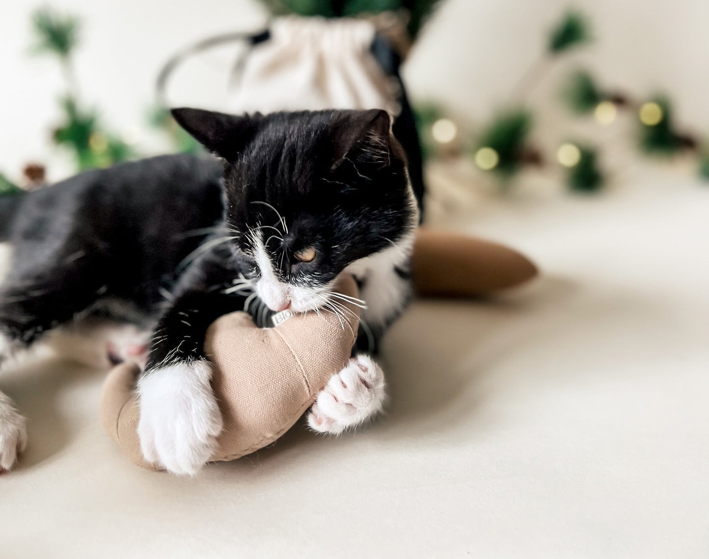 Katzen Spielzeugset - Breakfast Club Bloire Croissant