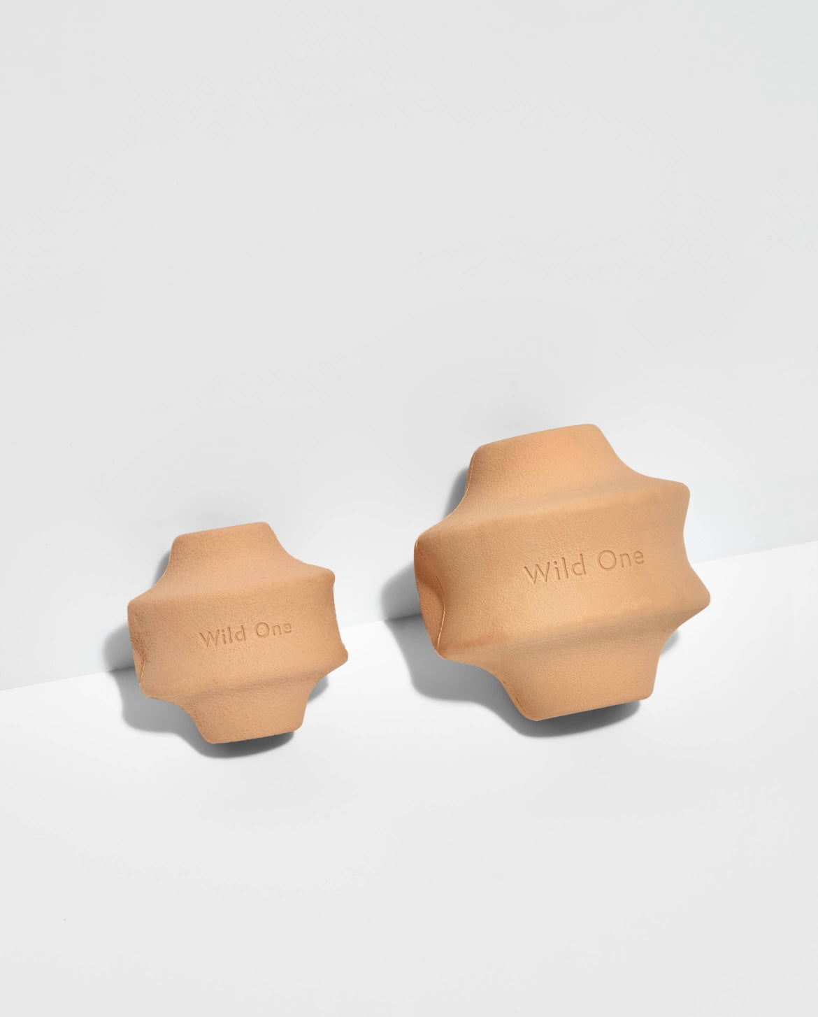 Stylisches Hundespielzeug Ball