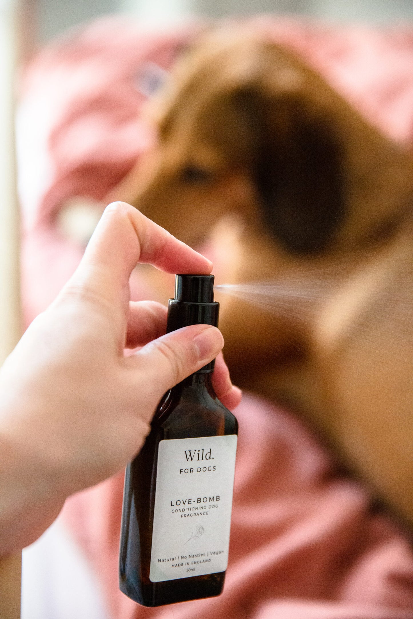 Hundeparfum in Glasflasche mit minimalistischem Etikett