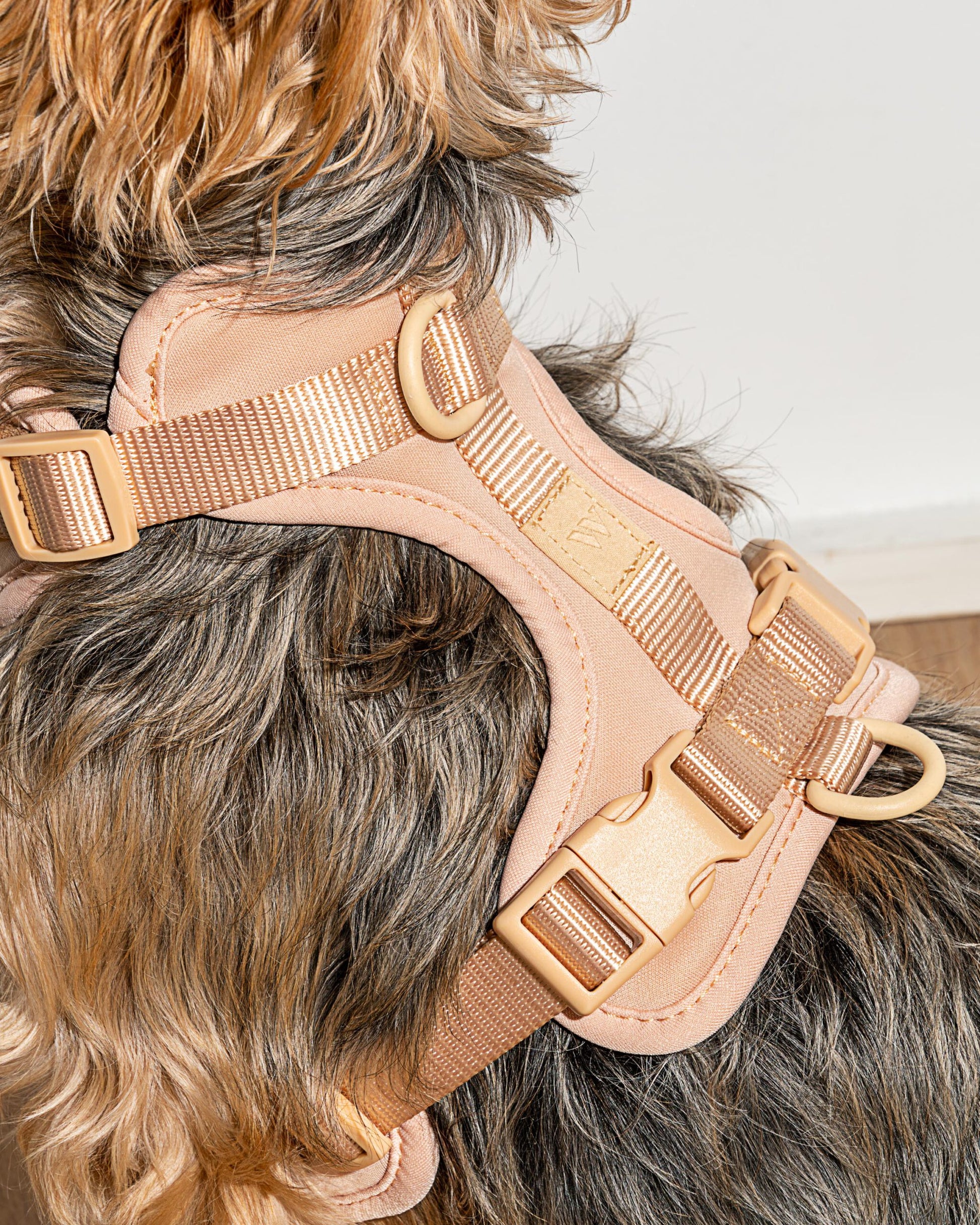 Minimalistisches Hundegeschirr nude