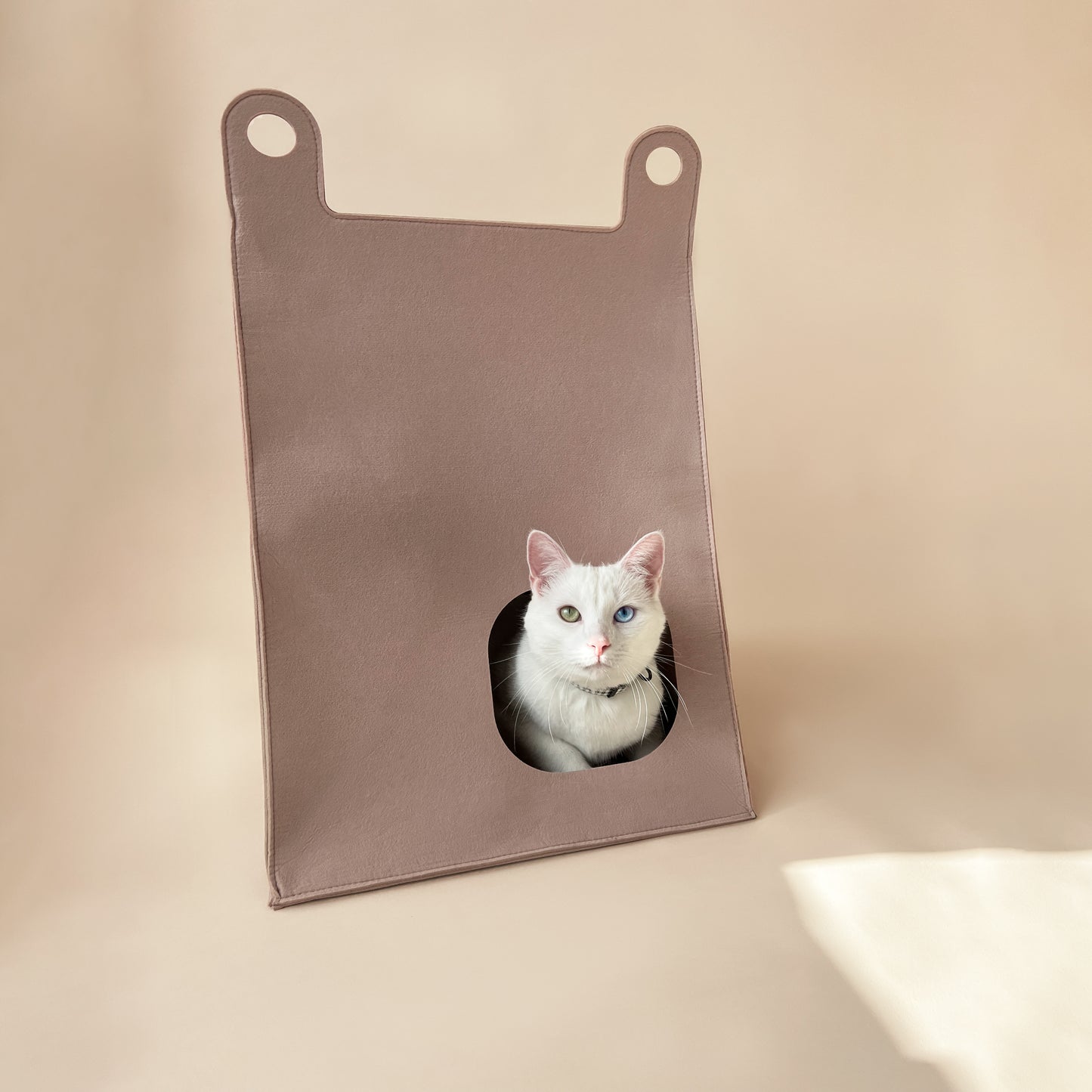 minimalistische Katzenhaus von Bloire