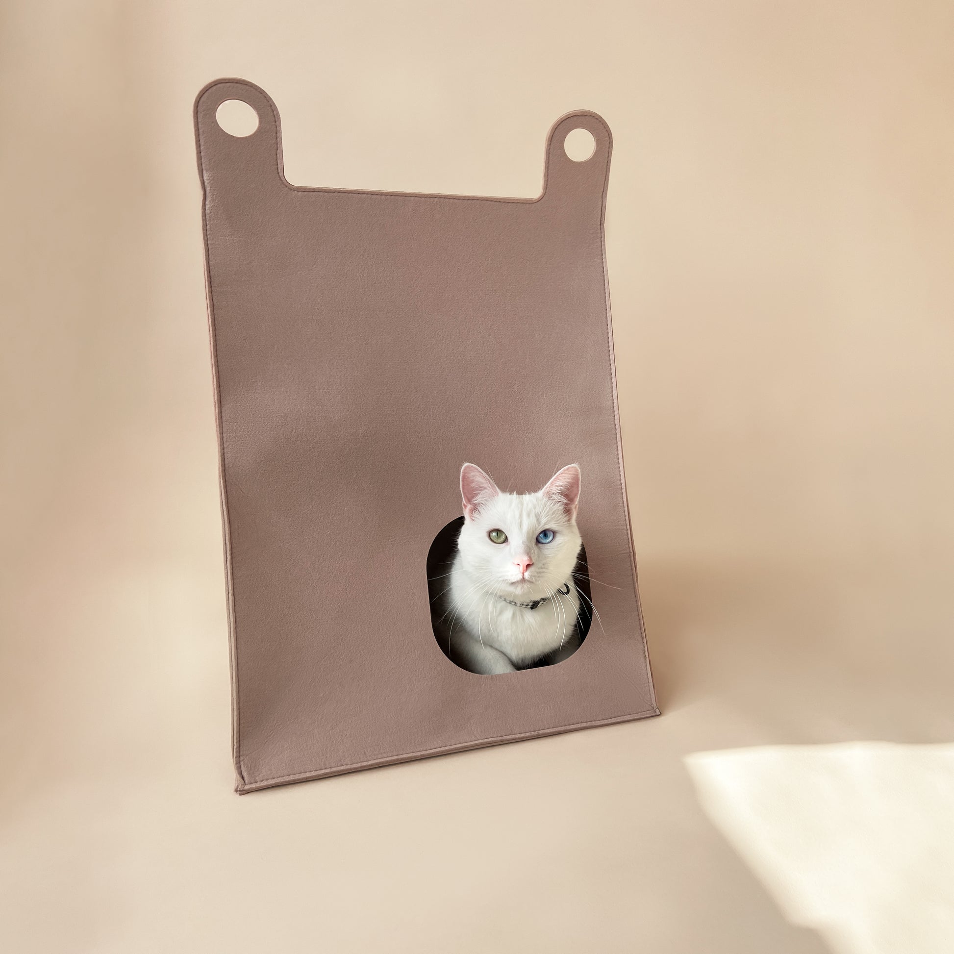 minimalistische Katzenhaus von Bloire